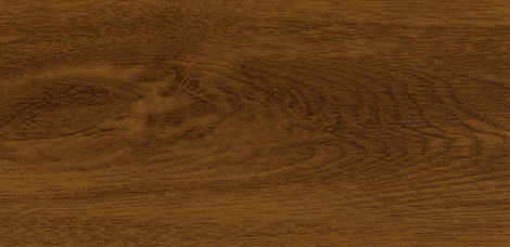 Altın Mese / Solar Oak