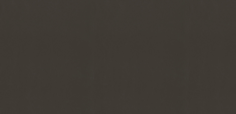 Vizon Gri / Grey Mink